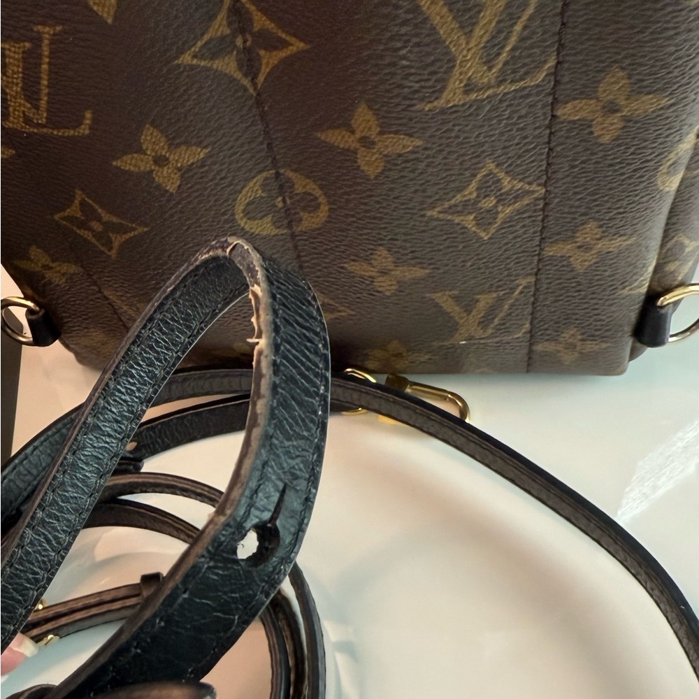 SOLD Louis Vuitton Palm Springs Mini Backpack - Picture 8 of 16